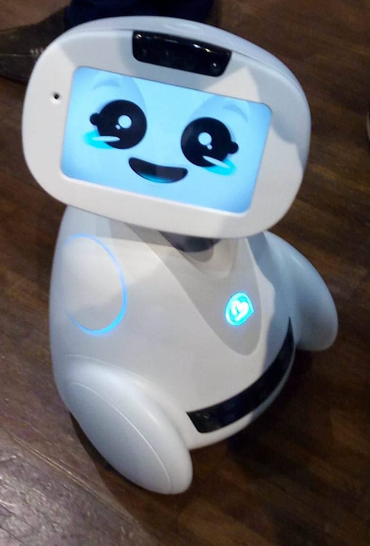 Le robot compagnon Buddy fait un carton !