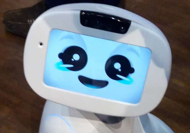 buddy, robot compagnon pas cher